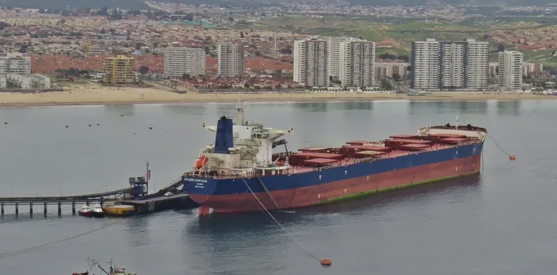 GOLDEN MYRTALIA Bulk Carrier IMO 9511416 photo 3