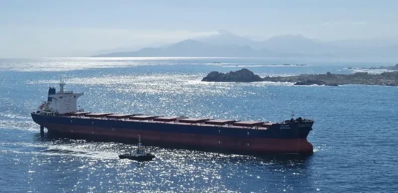 GOLDEN MYRTALIA Bulk Carrier IMO 9511416 photo 6