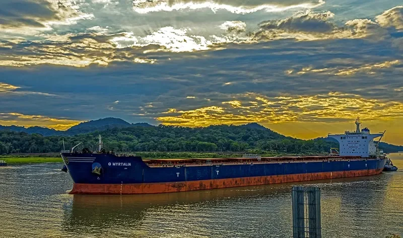 GOLDEN MYRTALIA Bulk Carrier IMO 9511416 photo 8