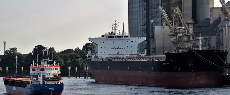MARIA G.O. Bulk Carrier IMO 9511428 photo 8
