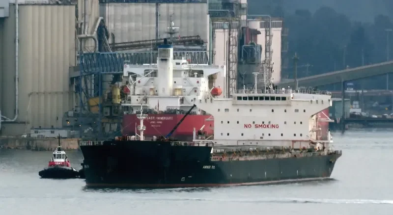 ALKYON Bulk Carrier IMO 9511430