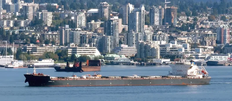 ALKYON Bulk Carrier IMO 9511430 photo 2
