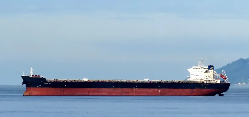 ALKYON Bulk Carrier IMO 9511430 photo 3