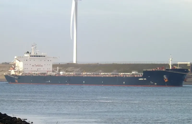 ALKYON Bulk Carrier IMO 9511430 photo 8