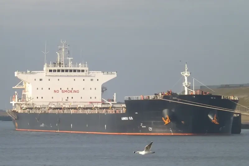 ALKYON Bulk Carrier IMO 9511430 photo 9