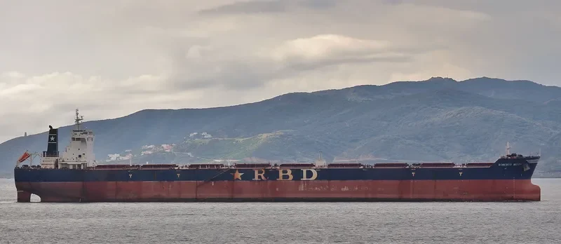 RESILIENCE Bulk Carrier IMO 9511454
