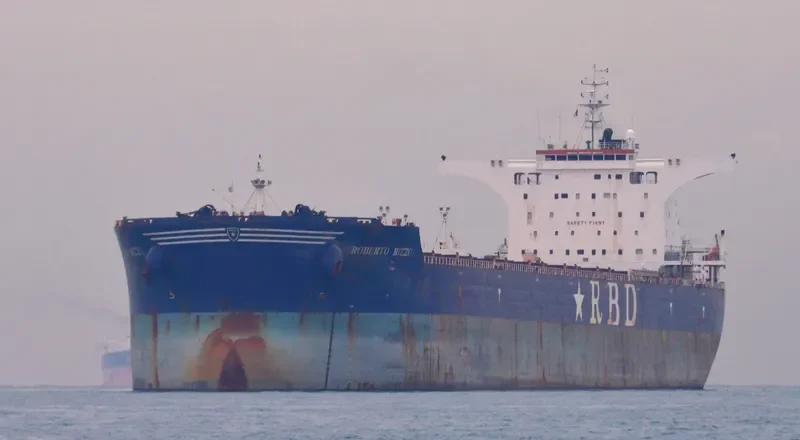 RESILIENCE Bulk Carrier IMO 9511454 photo 5