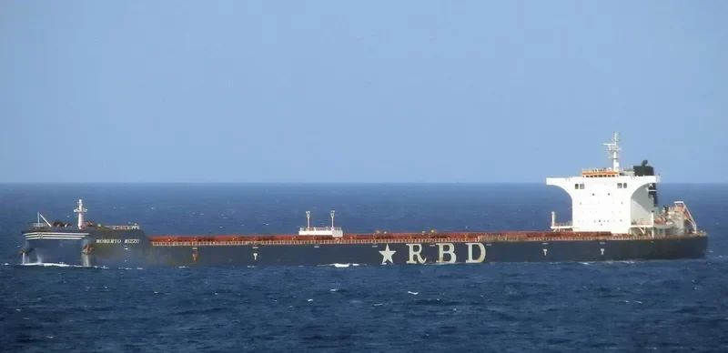 RESILIENCE Bulk Carrier IMO 9511454 photo 7