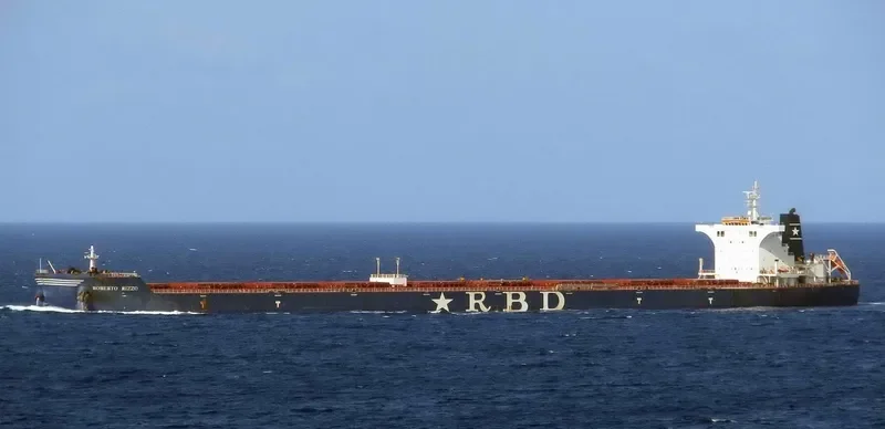 RESILIENCE Bulk Carrier IMO 9511454 photo 8