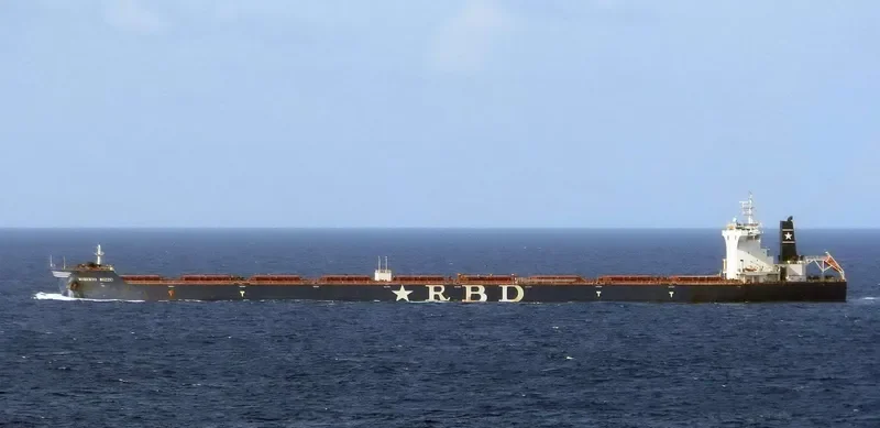 RESILIENCE Bulk Carrier IMO 9511454 photo 9