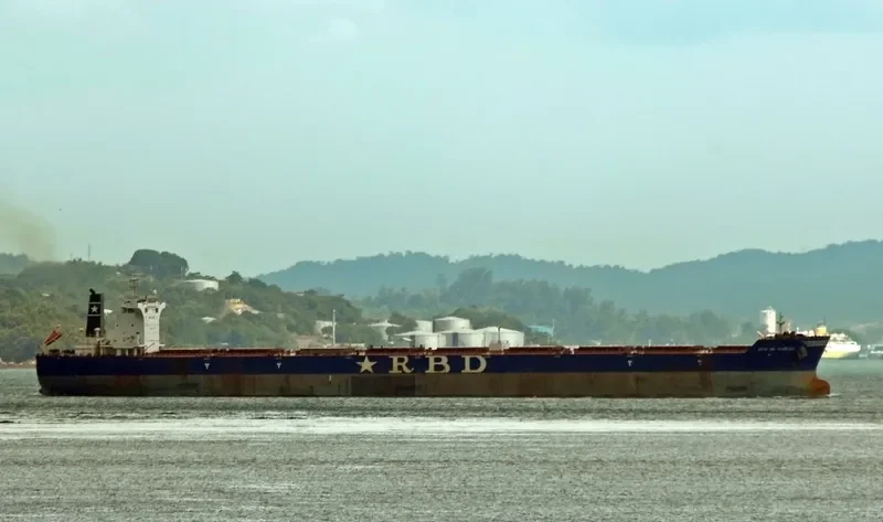 UGO DE CARLINI Bulk Carrier IMO 9511466 photo 9