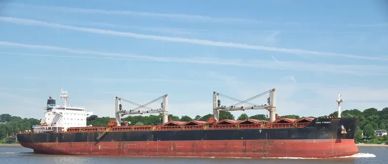 GENCO PYRENEES Bulk Carrier IMO 9511832 photo 6