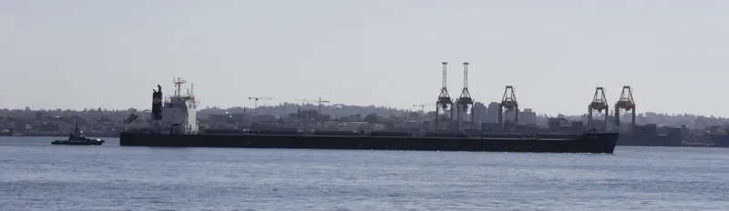 KITAURA Bulk Carrier IMO 9512056 photo 8