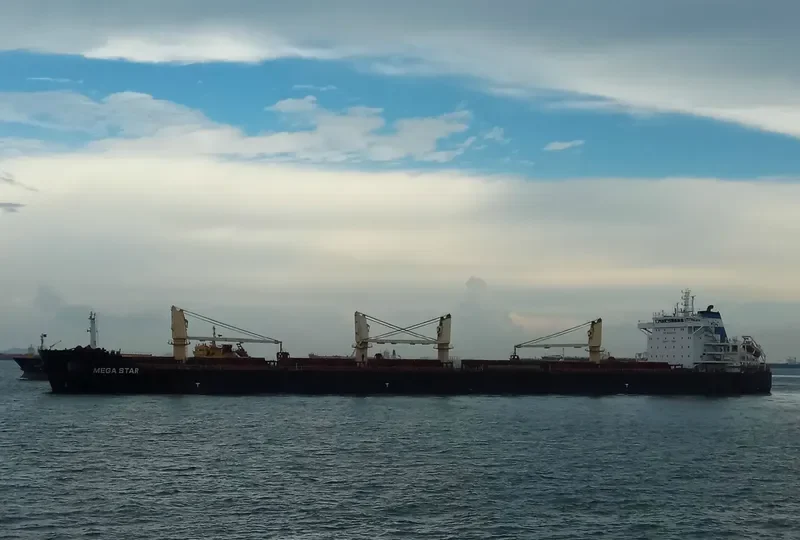 ESHIPS DUGON Bulk Carrier IMO 9512202
