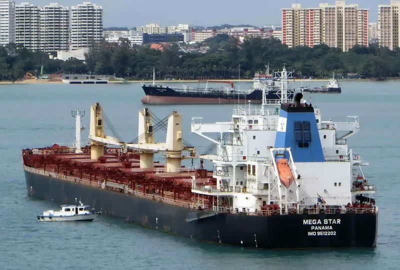 ESHIPS DUGON Bulk Carrier IMO 9512202 photo 3