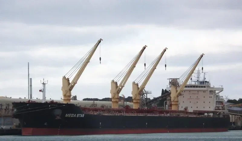 ESHIPS DUGON Bulk Carrier IMO 9512202 photo 6