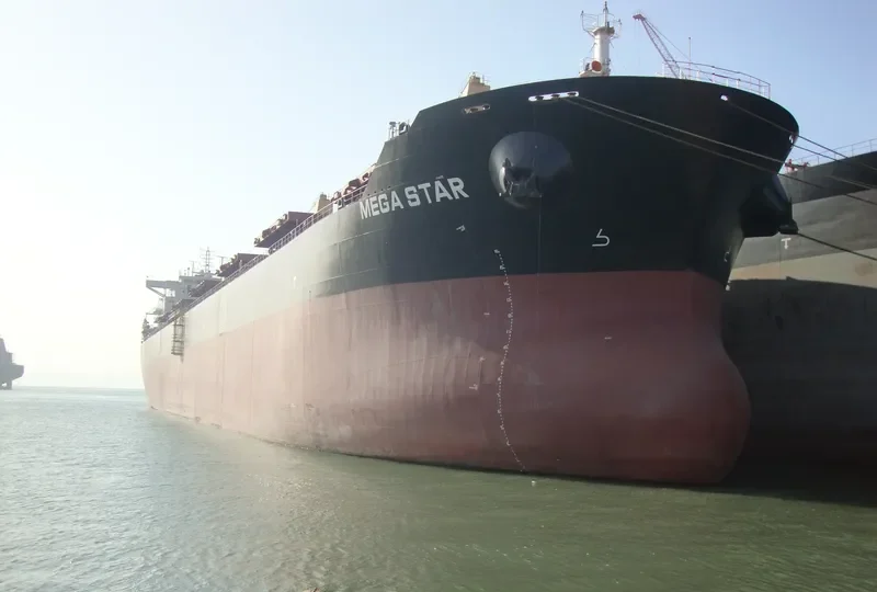 ESHIPS DUGON Bulk Carrier IMO 9512202 photo 7