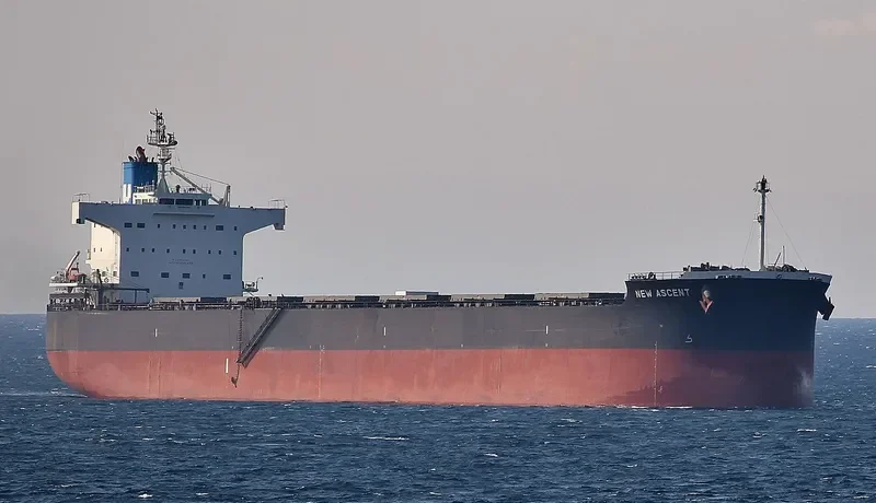 NEW ASCENT Bulk Carrier IMO 9512290
