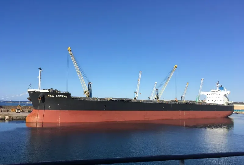 NEW ASCENT Bulk Carrier IMO 9512290 photo 2