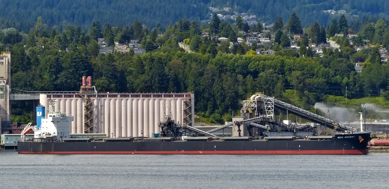NEW ASCENT Bulk Carrier IMO 9512290 photo 3