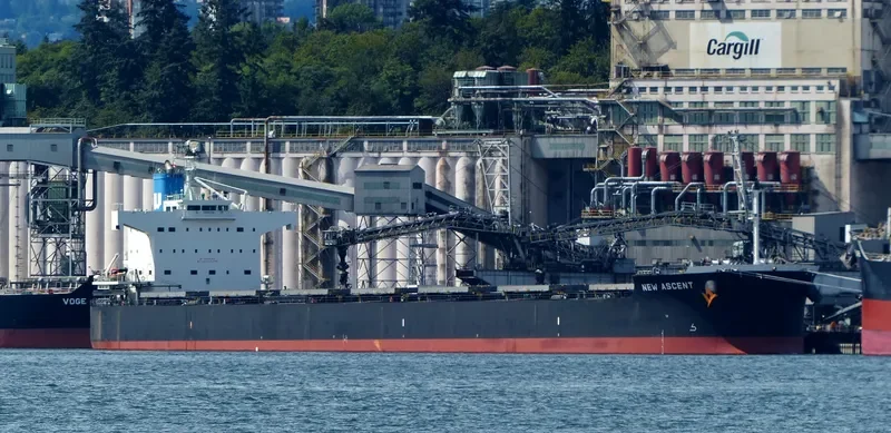 NEW ASCENT Bulk Carrier IMO 9512290 photo 4