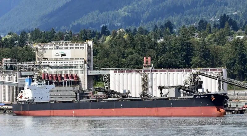 NEW ASCENT Bulk Carrier IMO 9512290 photo 5