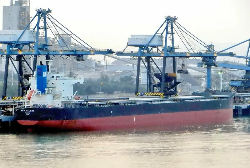 NEW ASCENT Bulk Carrier IMO 9512290 photo 6
