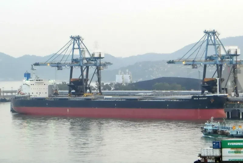 NEW ASCENT Bulk Carrier IMO 9512290 photo 8