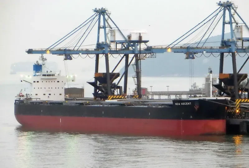 NEW ASCENT Bulk Carrier IMO 9512290 photo 9