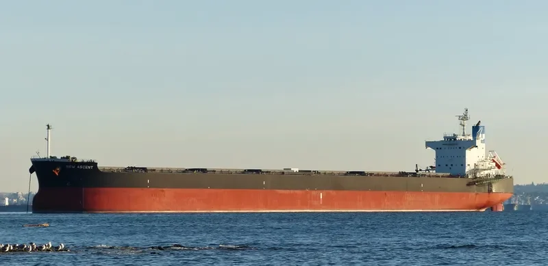 NEW ASCENT Bulk Carrier IMO 9512290 photo 10