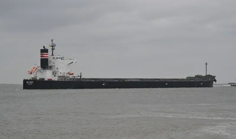 NBA MONET Bulk Carrier IMO 9512305 photo 8