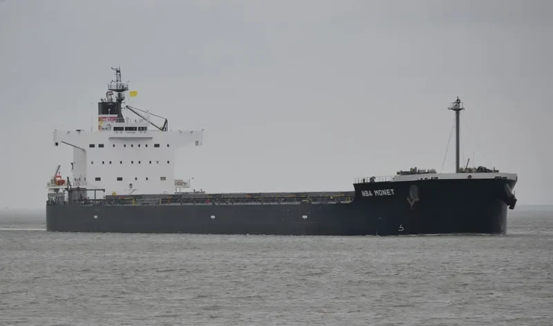 NBA MONET Bulk Carrier IMO 9512305 photo 9