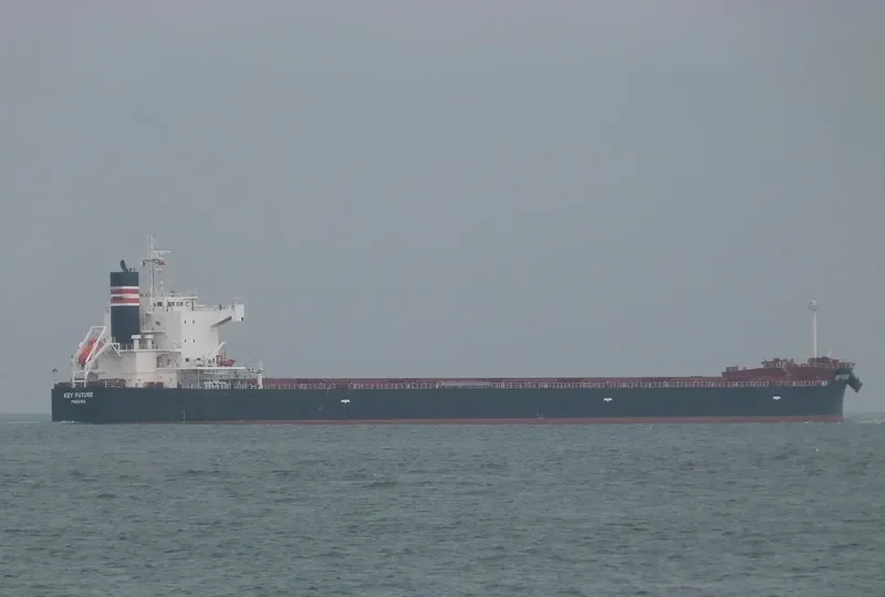 KEY FUTURE Bulk Carrier IMO 9512329 photo 2