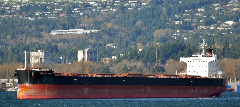 KEY FUTURE Bulk Carrier IMO 9512329 photo 6