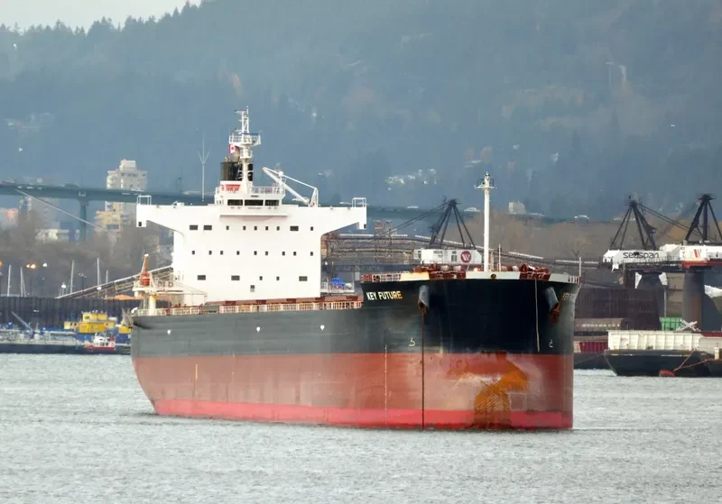 KEY FUTURE Bulk Carrier IMO 9512329 photo 8
