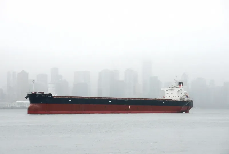 KEY FUTURE Bulk Carrier IMO 9512329 photo 10