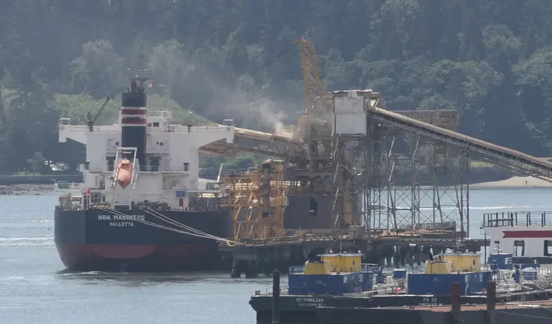 NBA MAGRITTE Bulk Carrier IMO 9512331 photo 3
