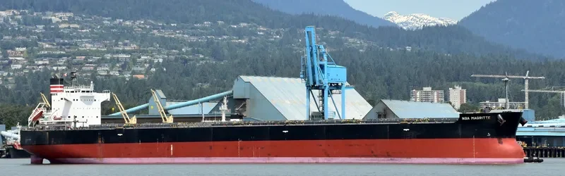 NBA MAGRITTE Bulk Carrier IMO 9512331 photo 7