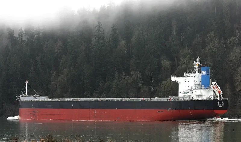 PESCADORES SW Bulk Carrier IMO 9512343