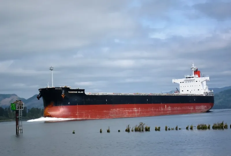 LAAX Bulk Carrier IMO 9512355