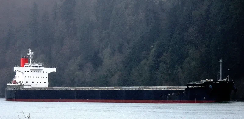 LAAX Bulk Carrier IMO 9512355 photo 4