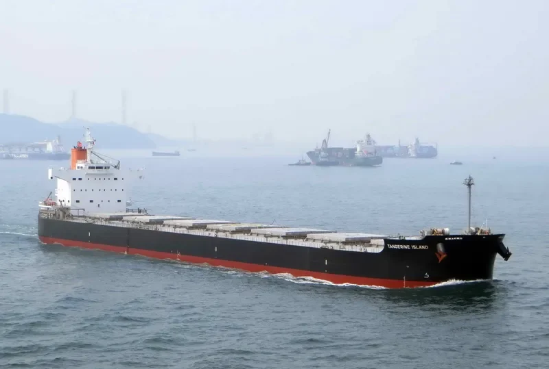 LAAX Bulk Carrier IMO 9512355 photo 9