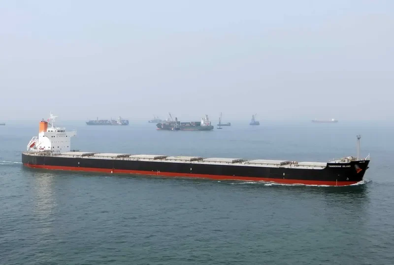 LAAX Bulk Carrier IMO 9512355 photo 10
