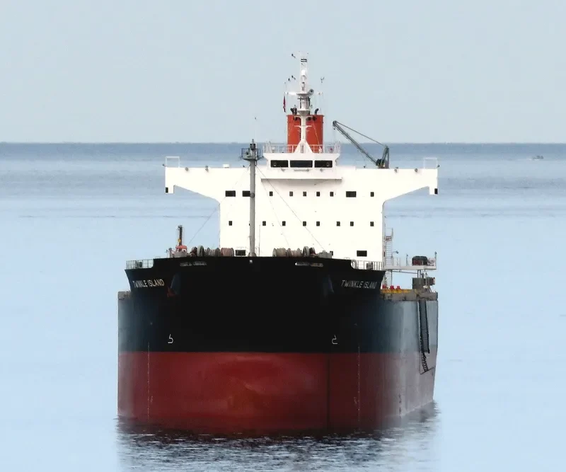 TWINKLE ISLAND Bulk Carrier IMO 9512367 photo 4