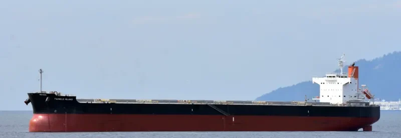 TWINKLE ISLAND Bulk Carrier IMO 9512367 photo 8