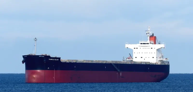 TWINKLE ISLAND Bulk Carrier IMO 9512367 photo 9