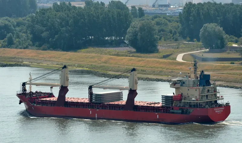 WHITE EAGLE General Cargo IMO 9512422 photo 6