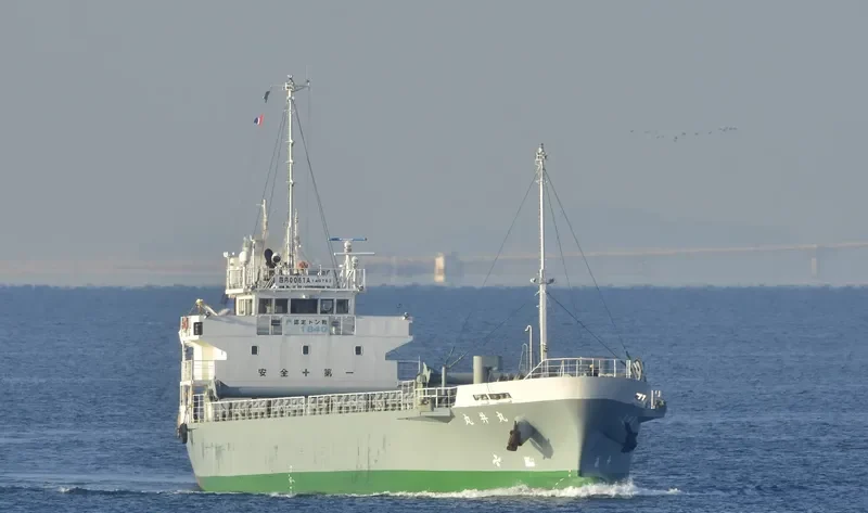 MARUI MARU General Cargo IMO 9512446 photo 10