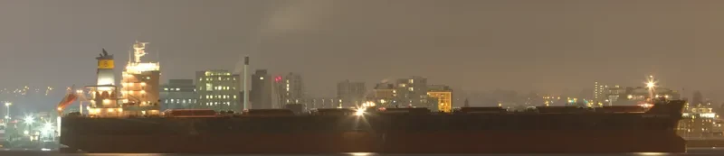 NADINE V Bulk Carrier IMO 9512563
