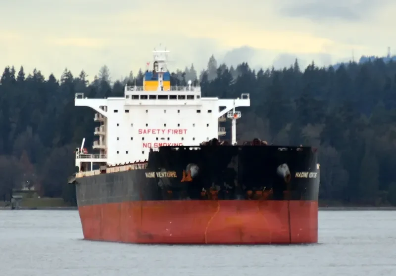 NADINE V Bulk Carrier IMO 9512563 photo 2